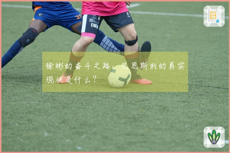 徐彬的奋斗之路，巴恩斯利的真实现状是什么？