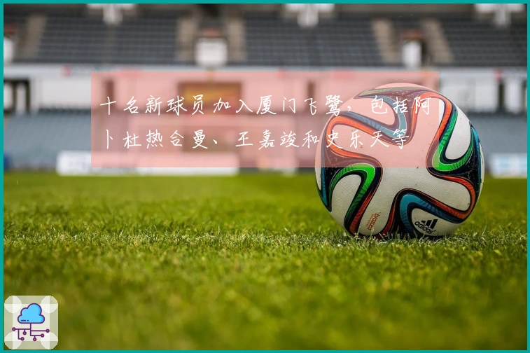 十名新球员加入厦门飞鹭，包括阿卜杜热合曼、王嘉竣和史乐天等