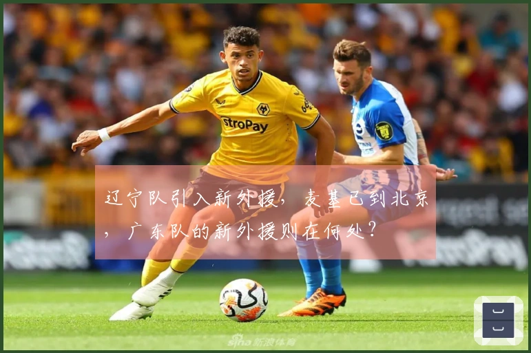 辽宁队引入新外援，麦基已到北京，广东队的新外援则在何处？