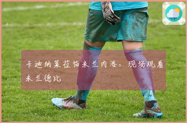 卡迪纳莱莅临米兰内洛，现场观看米兰德比